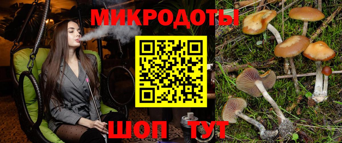 Псилоцибиновые грибы Psilocybine cubensis  Вход с VPN  Новокубанск 