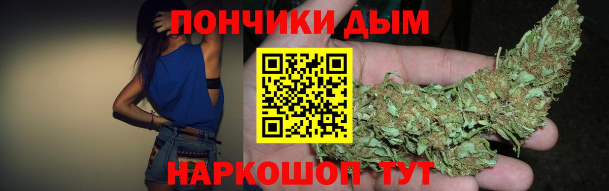 Бошки Шишки план Новокубанск
